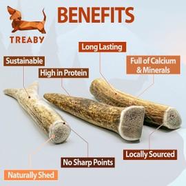 Treaby: Pack of 3 Natural Deer Antler Dog Chews - Long-Lasting Dog Toys for Dogs, Ideal for Small Breeds & Puppies
