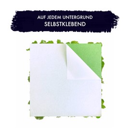 GJS Moss Picture – Moss Mat / Moss Plate (30 x 30 cm) Made of Real Iceland Moss for Moss Wall/Plant Picture/Decorative Panels for Crafts/Making Yourself