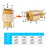 ChillWaves Brass In-Line Spring Check Valve DN20 3/4" Male x