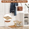 Fentar 2-Tier Narrow Shoe Rack