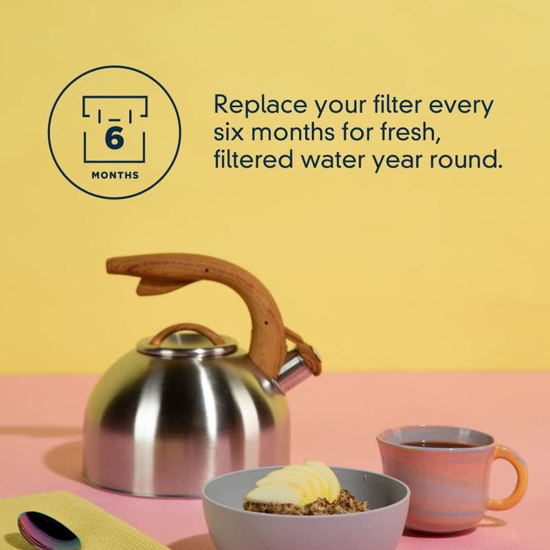 everydrop® by Whirlpool Ice and Water Refrigerator Filter 4, EDR4RXD1,