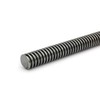 Trapezoidal Thread Spindle RTS 24 x 5 Right TR Trapezoidal Thread Spindle Cut Length 300 mm