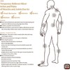 Astrapharm Chilli Brand Porous Capsicum Plaster 24 patches.