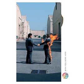 (24x36) Pink Floyd (Wish You Were Here, Man on Fire ) Music Poster Print