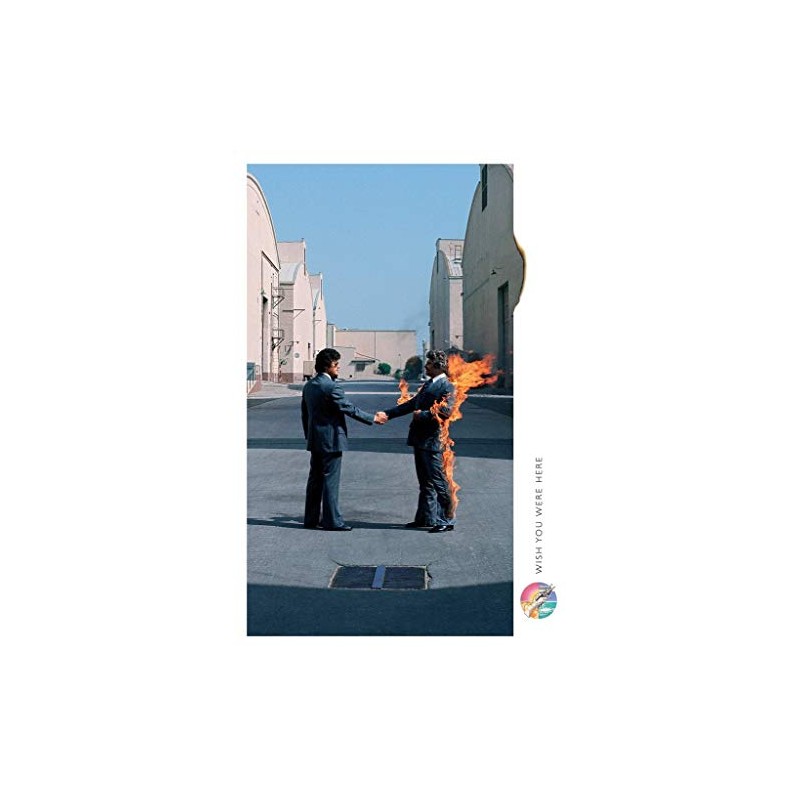 (24x36) Pink Floyd (Wish You Were Here, Man on Fire