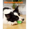 Squeaky Dog Toys, Stuffed Plush Puppy Toy Balls to Keep
