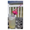 Oriental Trading Company OTC 48 Flamingo Straws/Luau Party Table Decor/Cardboard/Tissue