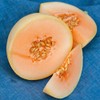 25 Organic Orange Flesh Honeydew Melon Seeds for Planting 0.75