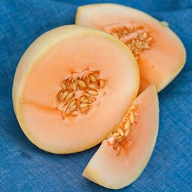 25 Organic Orange Flesh Honeydew Melon Seeds for Planting 0.75 Grams of Seeds Heirloom and Non GMO Harvested in USA for Planting