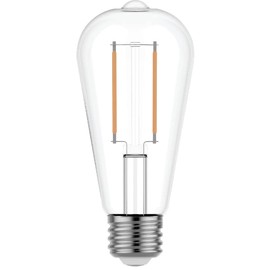 GE Relax LED Vintage 60 watt Equivalent ST19 Soft White Dimmable Decorative Light Bulb (2-Pack)
