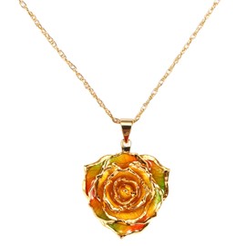AliveRose Rose Pendant Necklaces Gifts for Women, 24K Gold Dipped Real Rose Dangle Necklace Jewelry - Ideal Gift for Her Wife Mom Anniversaries, Valentines, Birthday, Christmas (Rainbow)