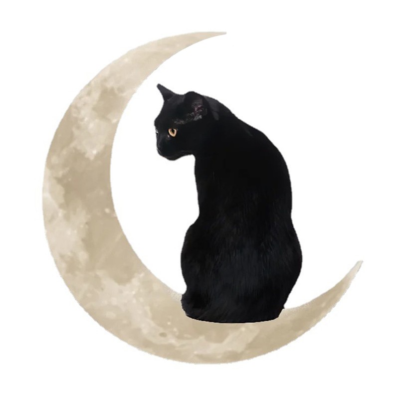 Metal Black Cat Moon Hanging Sign Cat On The Moon