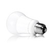 TCP Allusion Series LED A19 60W Replacement (Uses only 9W)