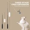 Qiruosing Cat Toys Interactive Cat Toy Wand ; A Retractable