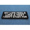 Ivamis My Life feels Like a test I didn't Study