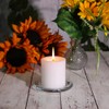 Richland Set of 3 White Pillar Candles 3" x 3"