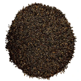 Bird Pro Premium Nyjer Thistle Wild Bird Seed – High-Energy Finch Food for Goldfinches, Siskins & Small Songbirds, Cleaned & Pure (5 Pounds)
