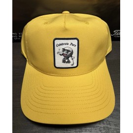 100% NEW Swannies Golf “Celebrate Pars” Golf Hat