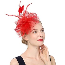Yunpwag Women's 20s 50s Mesh Feather Flower-Shaped Fascinator Hats for Women Wedding Tea Party Kentucky Derby Church Fascinators with Headband and Clip Red