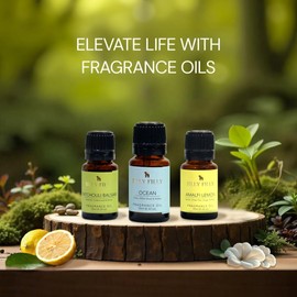 Silly Filly Fragrance Oil Set of 3 | Amalfi Lemon, Ocean, Patchouli Balsam - 10ml Each | Blends for Diffusers, Home Care, Candle Making Scents, Fragrance, Aromatherapy, Humidifiers