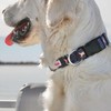 Woballe Classic Dog Collar for Small Medium Large Dogs, Soft