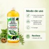 Shampoo Baño Botanico Extracto De Romero (anticaida) 1 Lt