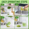 Sozize Sprouting Jar Sprouting Kit Sprouts Growing Kit with Mason
