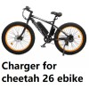 coming data AC ad adapter Electric Bike battery Charger for