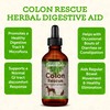 Animal Essentials Colon Rescue for Dogs & Cats - Herbal