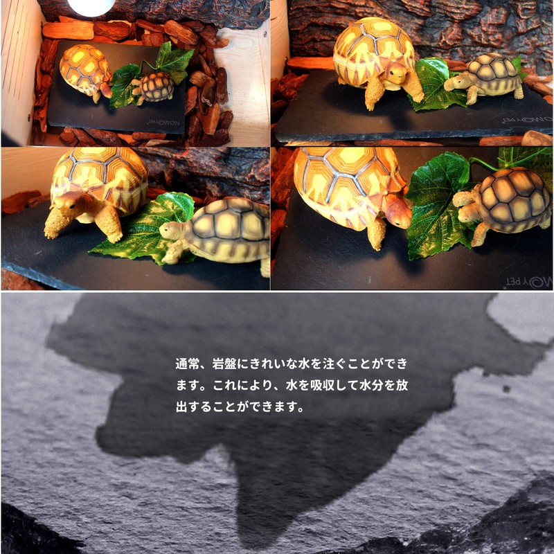 爬虫類の岩 亀乾燥ボード 床材 飼育ケースライナー 保温 保湿 フードプレート 飼育ケース内装 爪を磨くために使用 (30cm*20cm)