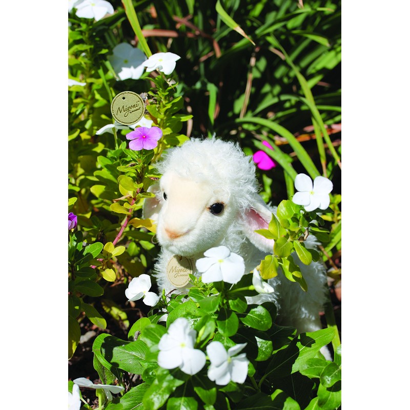 Aurora® Adorable Miyoni® Tots Baby Lamb Stuffed Animal - Lifelike