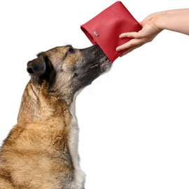 HUNTER Sofia Snack Bag One Size Red