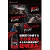 LEVEL FIT クレアルカリン 高純度クレアチンカプセル（アンチドーピング認証）90カプセル（30日分）