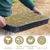 Rock Wool Cultivation 28 Cubes - Rock Wool Cube 4