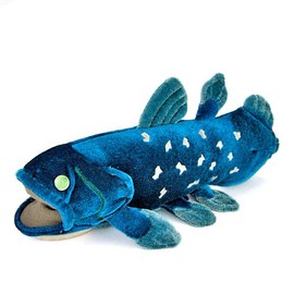 colorata coelacanth Plush Ancient Fish Small Size 4.3 x 4.1 inches (11 x 10.5 x 24 cm)