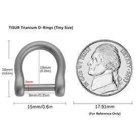 TISUR D-Rings with Screw Shackle, U Shape Key Chains Rings, Car Keys Tools, DIY Leather Craft Purse/Wallet Buckle 2pcs (0.35'', Matte/Titanium)