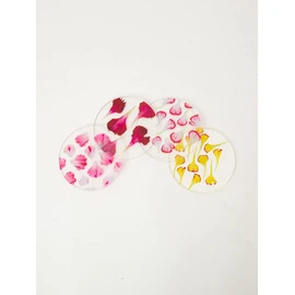 toumei Pressed Flower Carnation Coasters Set of 4 in a Wooden Box