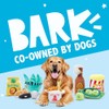 Barkbox Air Head Rip & Reveal Interactive Plush Dog Toy