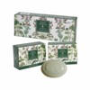 2 Botanical Cleansing Soaps that do not irritate the skin (WB718E3) / 피부 자극없는 비누 보태니컬 클린징 솝 2개 (WB718E3)