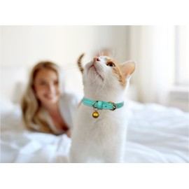 3 Pack Leather Cat Collars with Bells Soft Pet Safety Collar Kitten Collars with Bell Orange Yellow Mint Green(S)