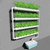 INTBUYING Hydroponics Growing System 36 Holes 4 Pipe Plant Site