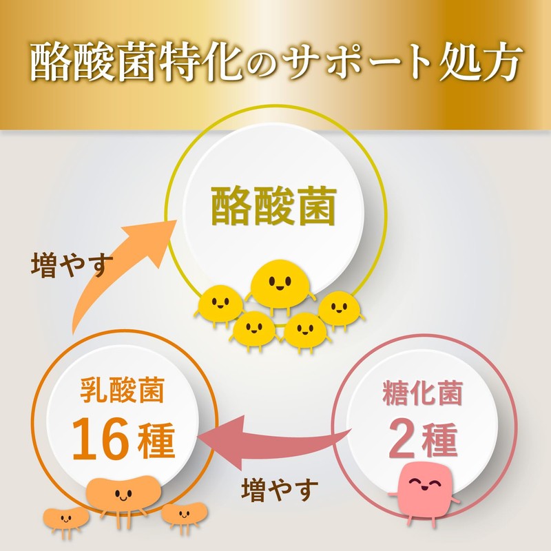 Lactobacillus Supplement, Intestinal Activity, Lactic Acid Bacteria Supplement, Support Ingredients