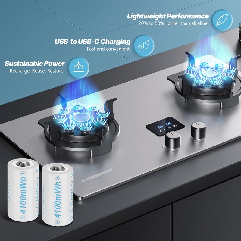 winbasic USB Rechargeable Batteries (6Pack, C)