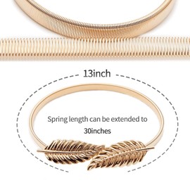 Curtain Tiebacks Aluminum Alloy Spring Design Curtain Ties Carving Design Curtain Holdback Curtain Holders for Drapes Thin or Thick Curtain Modern Simple Style Curtain Hooks Decorative(Gold Leaf 2)