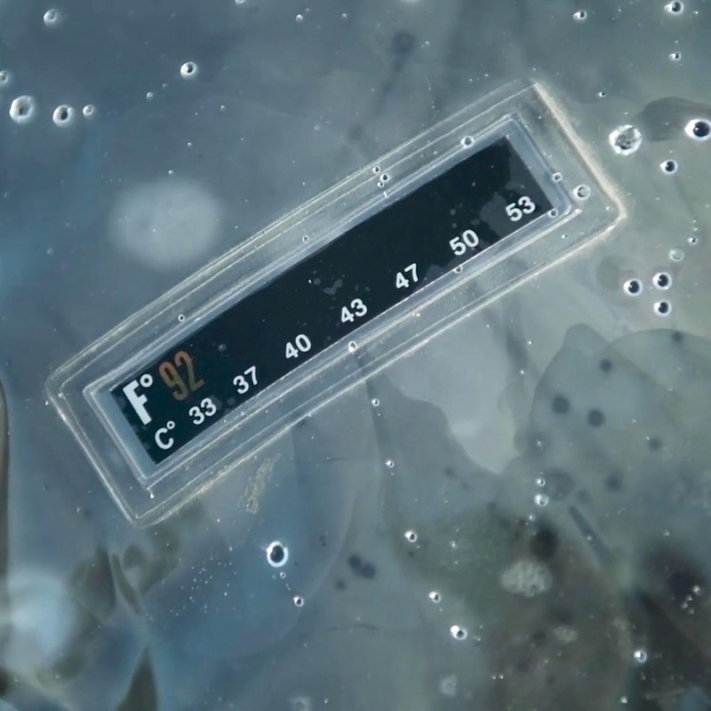 Advanced Elements 5 Gallon Summer Shower / Solar Shower,Silver/Black