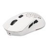 Wireless Mouse 2.4G Or BT5.1 Adjustable DPI Hollowed Out RGB