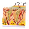 Skin Model, 50X Enlarged Anatomical Model Anatomy 3D Human Skin