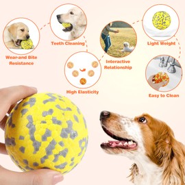 FONPOO Super Stretchy Dog Ball, Dog Toy Indestructible with the Latest Materials, Interactive Water Toy for Small and Medium Dogs (Orange 1)