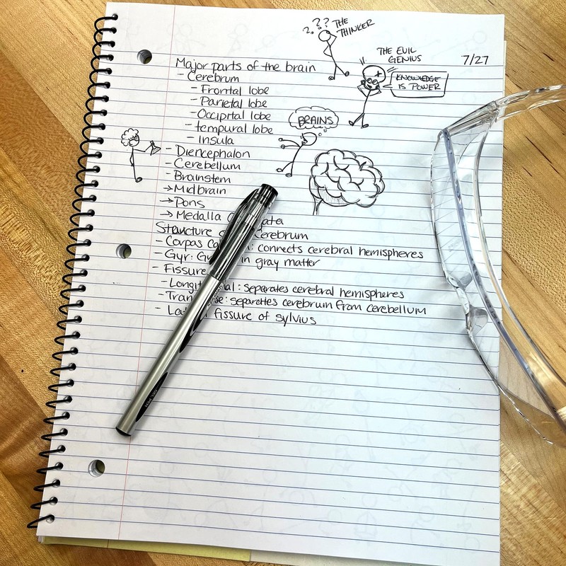 DoodleWrite Wide Ruled Wirebound Spiral Notebook, Includes Doodle Prompts to