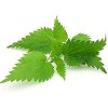 Nature Tea Nettle Leaf - Urtica dioica Loose Leaf C/S